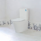Pure Living Rimless Vortex Flush Toilet Suites