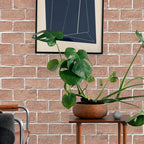 U2 Wallpaper - English Brick